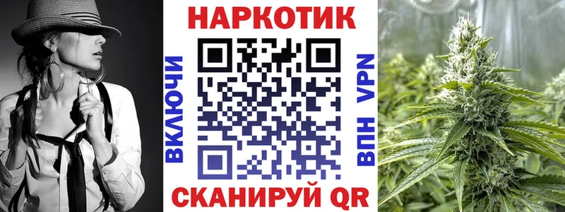 Где купить Аргун Псилоцибиновые грибы Кокаин Гашиш МЕФ Бошки Шишки АМФЕТАМИН