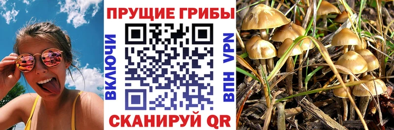 Псилоцибиновые грибы Magic Shrooms  KRAKEN   маркетплейс Telegram  Аргун 