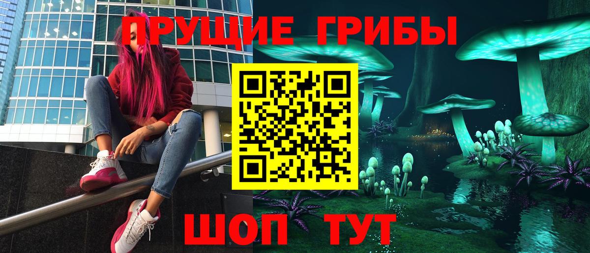 Галлюциногенные грибы Psilocybe Аргун